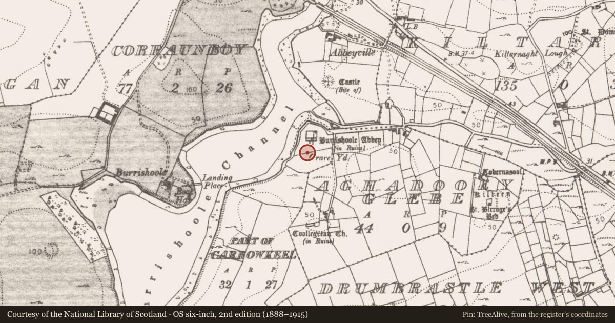 Ordnance Survey six-inch map, 2nd edition (1888–1915) covering the location of Earthwork, Carrowkeel (Burrishoole By., Burrishoole Par.), County Mayo, with a pin at the register's coordinates