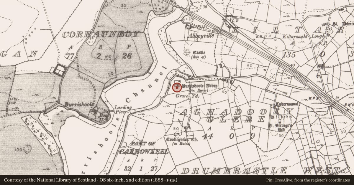 Ordnance Survey six-inch map, 2nd edition (1888–1915) covering the location of Tomb - chest tomb, Carrowkeel (Burrishoole By., Burrishoole Par.), County Mayo, with a pin at the register's coordinates