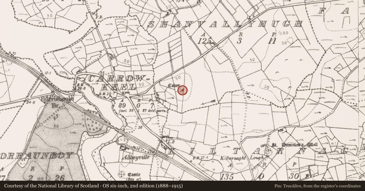 Ordnance Survey six-inch map, 2nd edition (1888–1915) covering the location of Ringfort - rath, Shanvallyhugh, County Mayo, with a pin at the register's coordinates