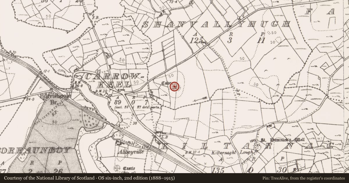 Ordnance Survey six-inch map, 2nd edition (1888–1915) covering the location of Souterrain, Shanvallyhugh, County Mayo, with a pin at the register's coordinates