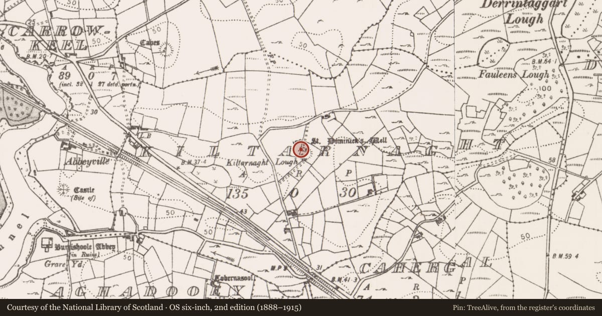 Ordnance Survey six-inch map, 2nd edition (1888–1915) covering the location of Ringfort - rath, Kiltarnaght, County Mayo, with a pin at the register's coordinates