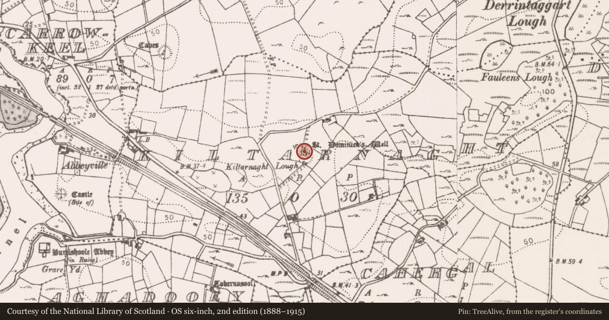 Ordnance Survey six-inch map, 2nd edition (1888–1915) covering the location of Ritual site - holy well, Kiltarnaght, County Mayo, with a pin at the register's coordinates