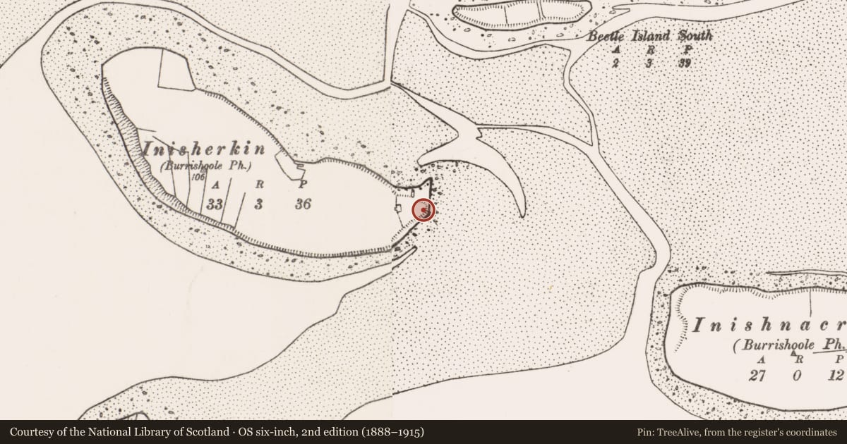 Ordnance Survey six-inch map, 2nd edition (1888–1915) covering the location of Ringfort - rath, Inisherkin Island, County Mayo, with a pin at the register's coordinates