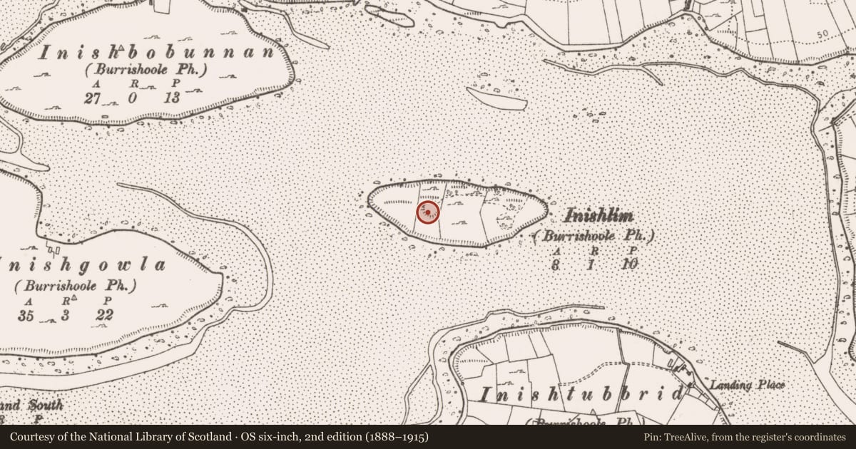 Ordnance Survey six-inch map, 2nd edition (1888–1915) covering the location of Ringfort - rath, Inishlim Island, County Mayo, with a pin at the register's coordinates