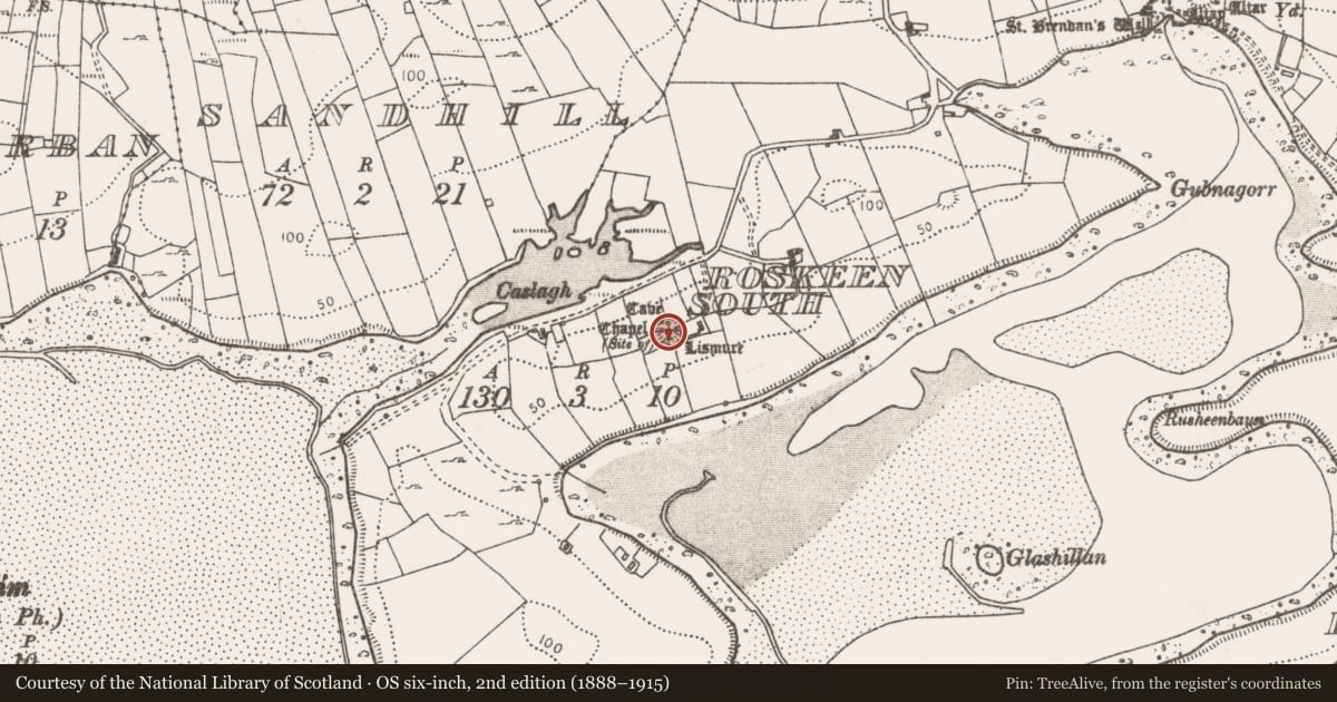 Ordnance Survey six-inch map, 2nd edition (1888–1915) covering the location of Ringfort - rath, Roskeen South, County Mayo, with a pin at the register's coordinates