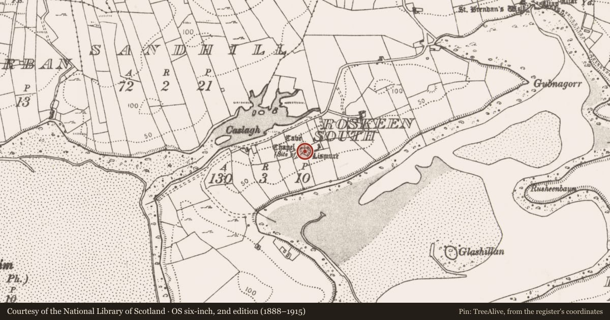 Ordnance Survey six-inch map, 2nd edition (1888–1915) covering the location of Chapel, Roskeen South, County Mayo, with a pin at the register's coordinates
