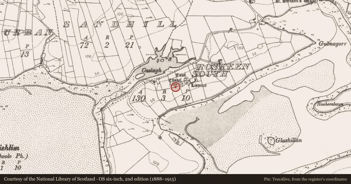 Ordnance Survey six-inch map, 2nd edition (1888–1915) covering the location of Megalithic structure, Roskeen South, County Mayo, with a pin at the register's coordinates