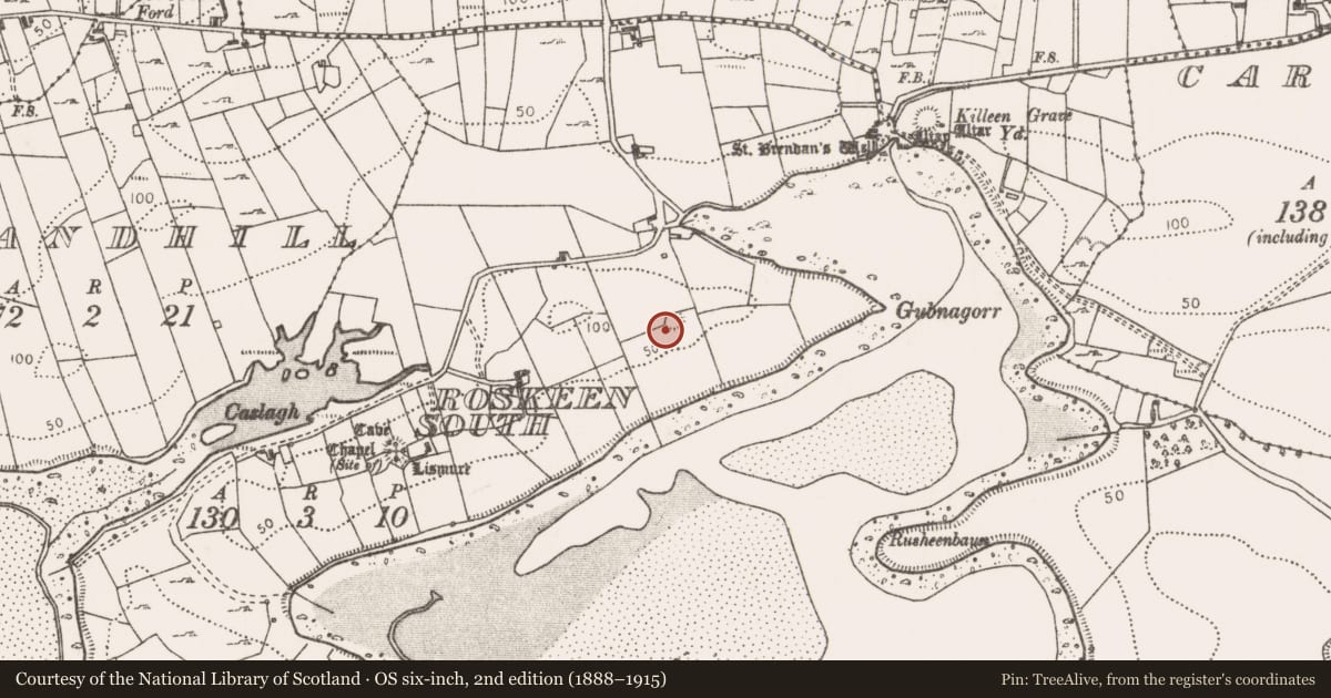 Ordnance Survey six-inch map, 2nd edition (1888–1915) covering the location of Ringfort - rath, Roskeen South, County Mayo, with a pin at the register's coordinates