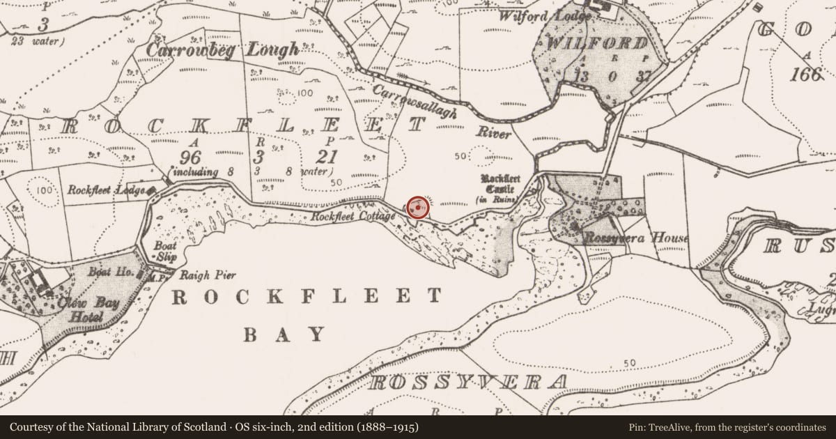 Ordnance Survey six-inch map, 2nd edition (1888–1915) covering the location of Enclosure, Rockfleet, County Mayo, with a pin at the register's coordinates
