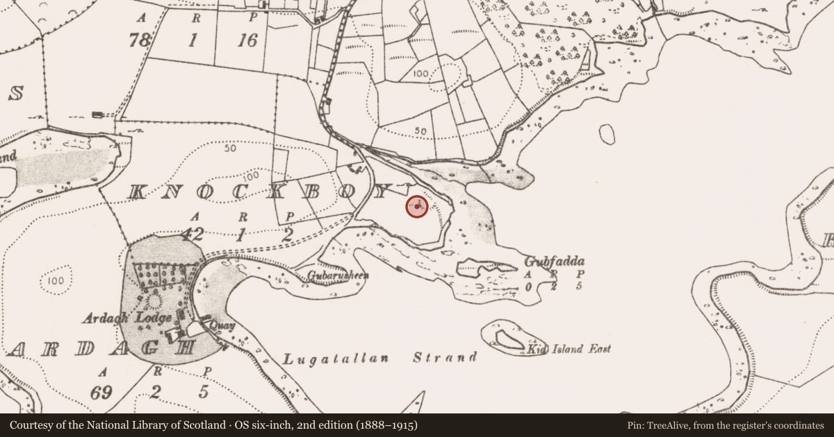 Ordnance Survey six-inch map, 2nd edition (1888–1915) covering the location of Ringfort - rath, Knockboy (Burrishoole By., Burrishoole Par.), County Mayo, with a pin at the register's coordinates