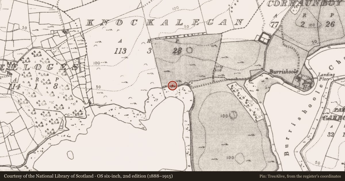 Ordnance Survey six-inch map, 2nd edition (1888–1915) covering the location of Standing stone, Knockalegan, County Mayo, with a pin at the register's coordinates