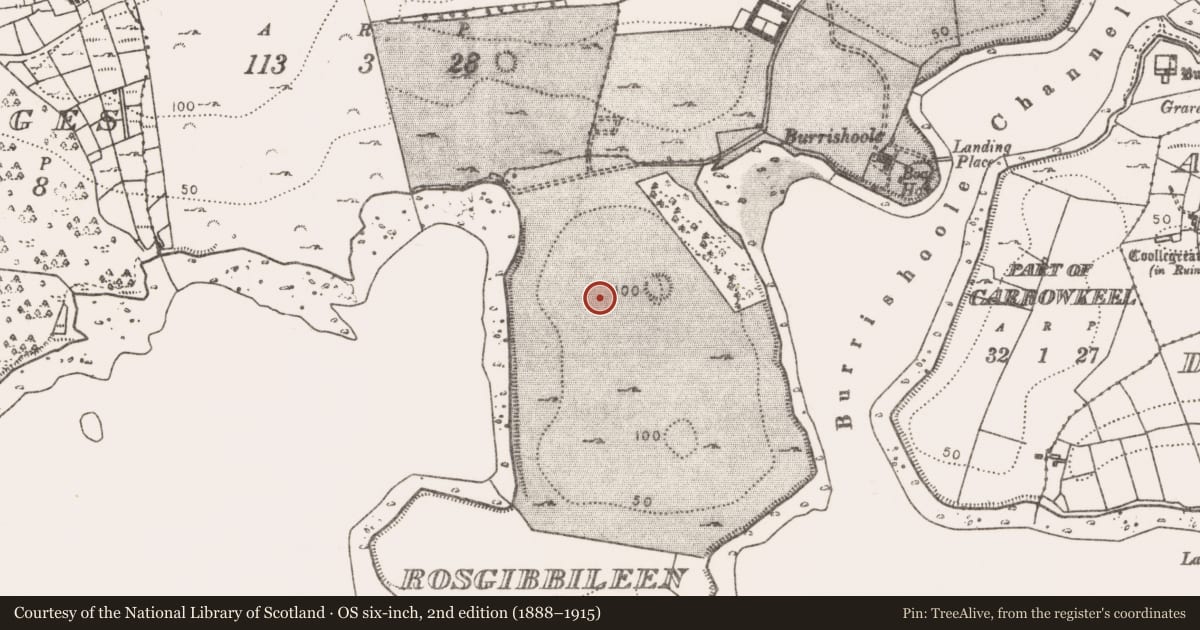 Ordnance Survey six-inch map, 2nd edition (1888–1915) covering the location of House - indeterminate date, Rosgibbileen, County Mayo, with a pin at the register's coordinates