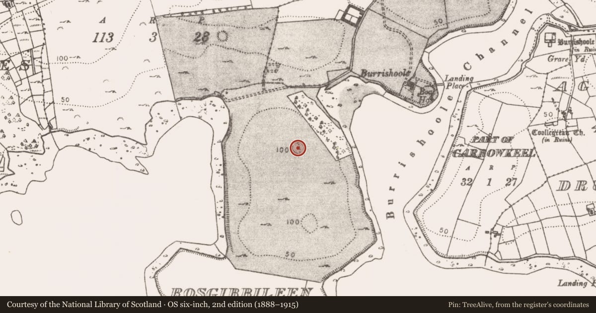 Ordnance Survey six-inch map, 2nd edition (1888–1915) covering the location of Ringfort - rath, Rosgibbileen, County Mayo, with a pin at the register's coordinates