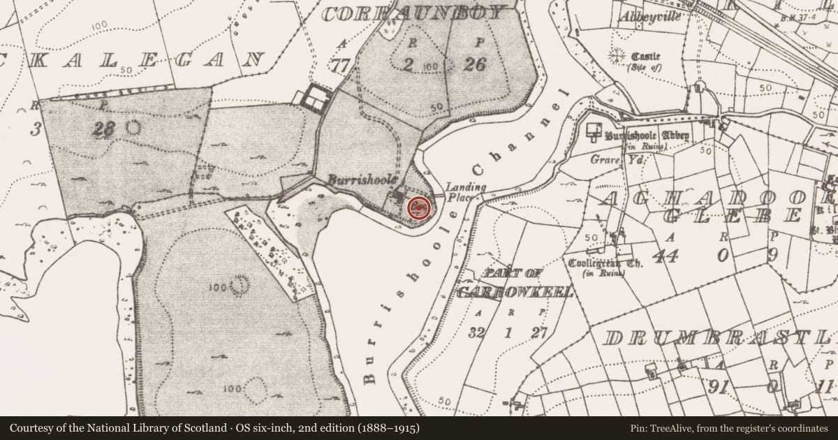 Ordnance Survey six-inch map, 2nd edition (1888–1915) covering the location of Castle - unclassified, Corraunboy, County Mayo, with a pin at the register's coordinates