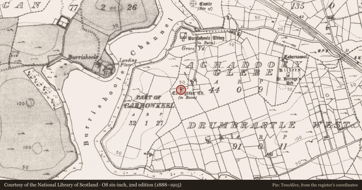 Ordnance Survey six-inch map, 2nd edition (1888–1915) covering the location of Church, Aghadooey Glebe, County Mayo, with a pin at the register's coordinates