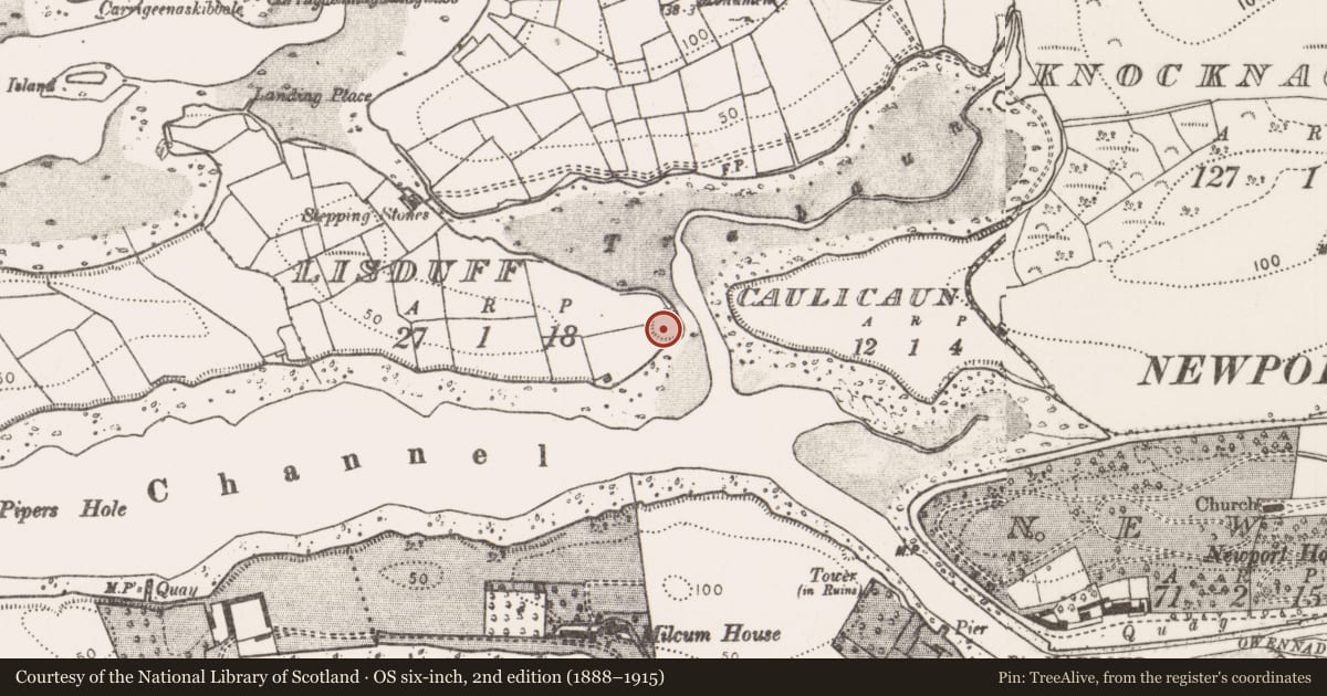Ordnance Survey six-inch map, 2nd edition (1888–1915) covering the location of Ringfort - rath, Lisduff, County Mayo, with a pin at the register's coordinates