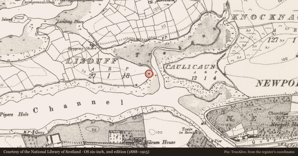 Ordnance Survey six-inch map, 2nd edition (1888–1915) covering the location of Hut site, Lisduff, County Mayo, with a pin at the register's coordinates