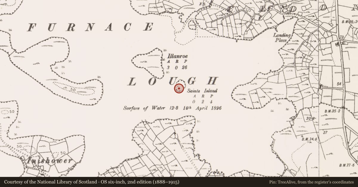 Ordnance Survey six-inch map, 2nd edition (1888–1915) covering the location of Crannog, Saints Island, County Mayo, with a pin at the register's coordinates