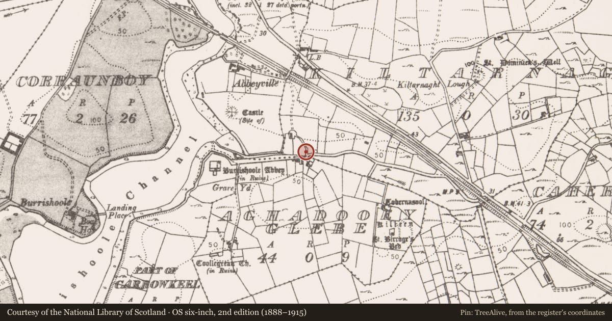 Ordnance Survey six-inch map, 2nd edition (1888–1915) covering the location of Building, Kiltarnaght, County Mayo, with a pin at the register's coordinates