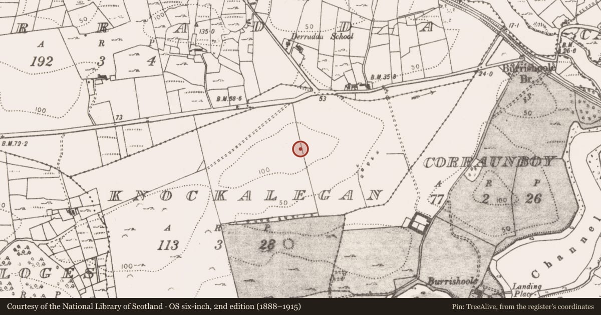 Ordnance Survey six-inch map, 2nd edition (1888–1915) covering the location of Barrow - unclassified, Knockalegan, County Mayo, with a pin at the register's coordinates
