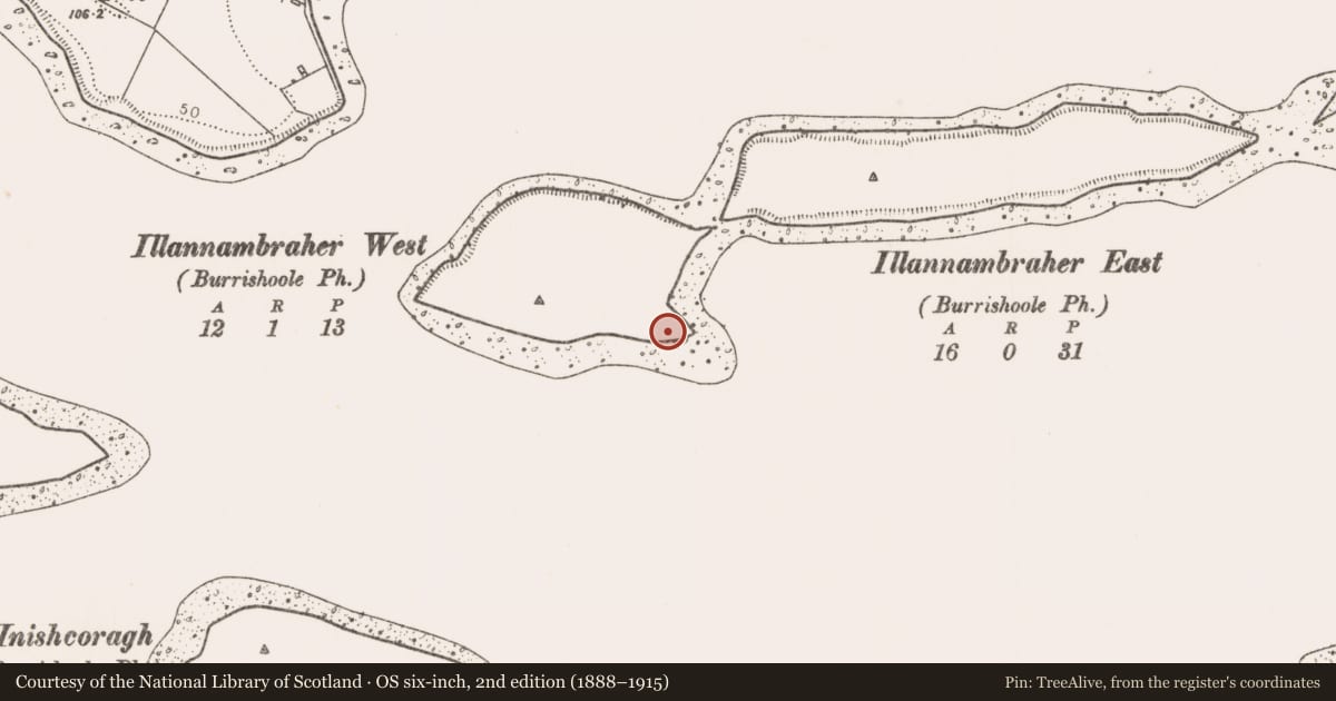 Ordnance Survey six-inch map, 2nd edition (1888–1915) covering the location of Earthwork, Illannambraher West Island, County Mayo, with a pin at the register's coordinates