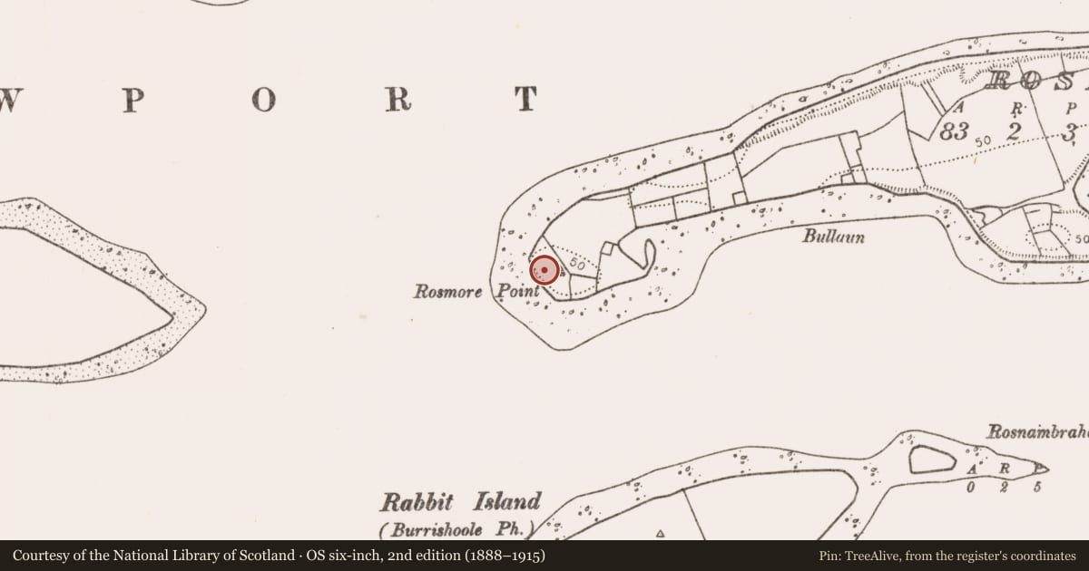 Ordnance Survey six-inch map, 2nd edition (1888–1915) covering the location of Enclosure, Rosmore, County Mayo, with a pin at the register's coordinates