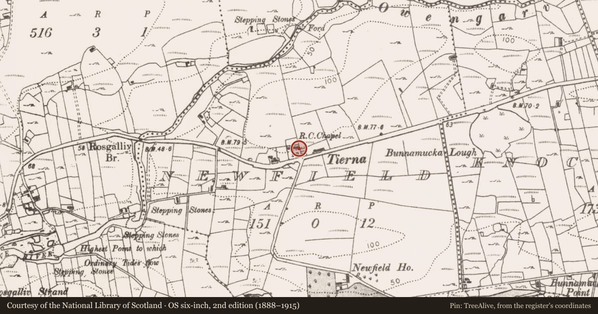 Ordnance Survey six-inch map, 2nd edition (1888–1915) covering the location of Bullaun stone (present location), Newfield, County Mayo, with a pin at the register's coordinates