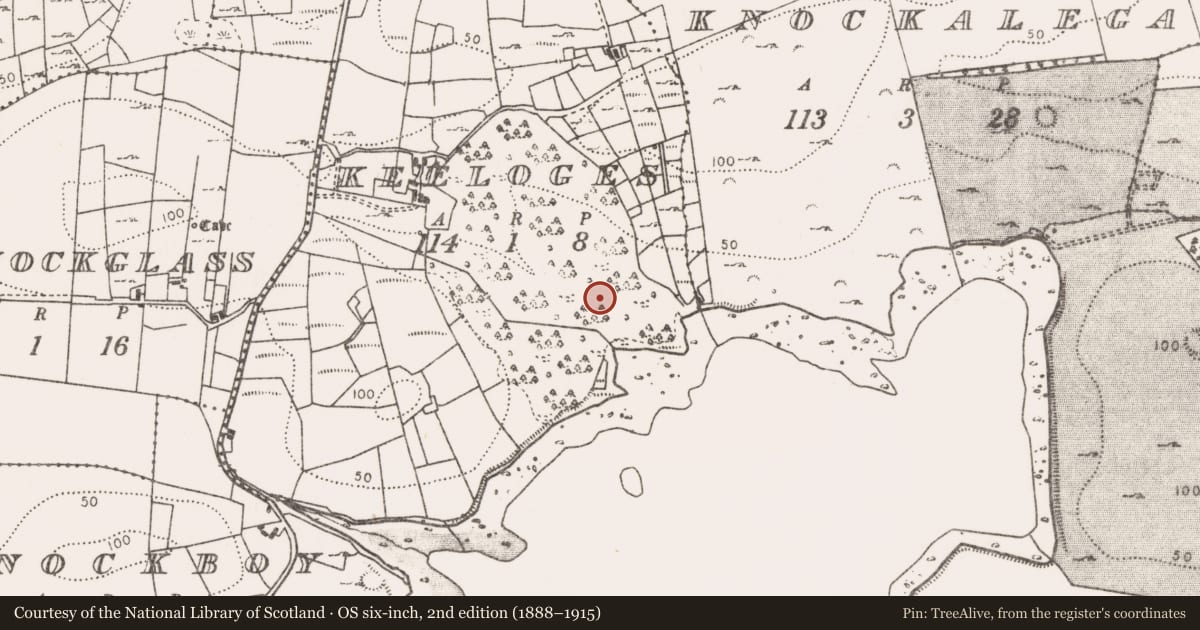 Ordnance Survey six-inch map, 2nd edition (1888–1915) covering the location of Hut site, Keeloges (Burrishoole By., Burrishoole Par.), County Mayo, with a pin at the register's coordinates
