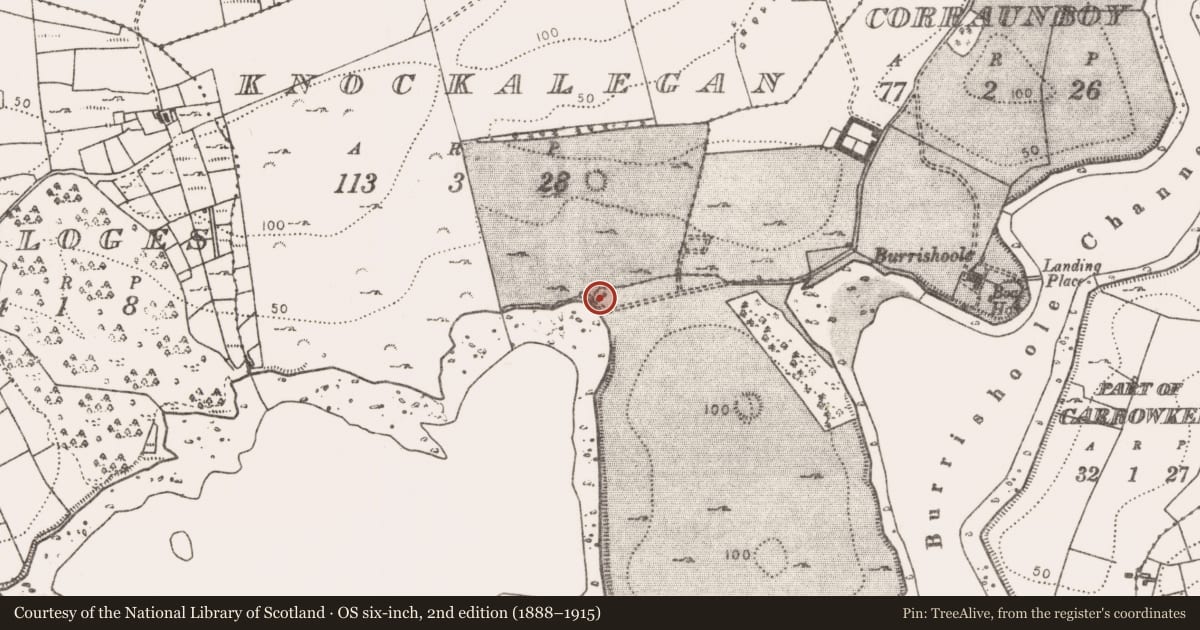 Ordnance Survey six-inch map, 2nd edition (1888–1915) covering the location of Fulacht fia, Rosgibbileen, County Mayo, with a pin at the register's coordinates