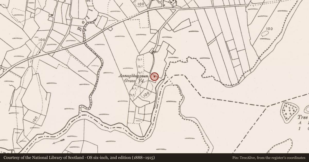 Ordnance Survey six-inch map, 2nd edition (1888–1915) covering the location of Church, Ballyteige, County Mayo, with a pin at the register's coordinates