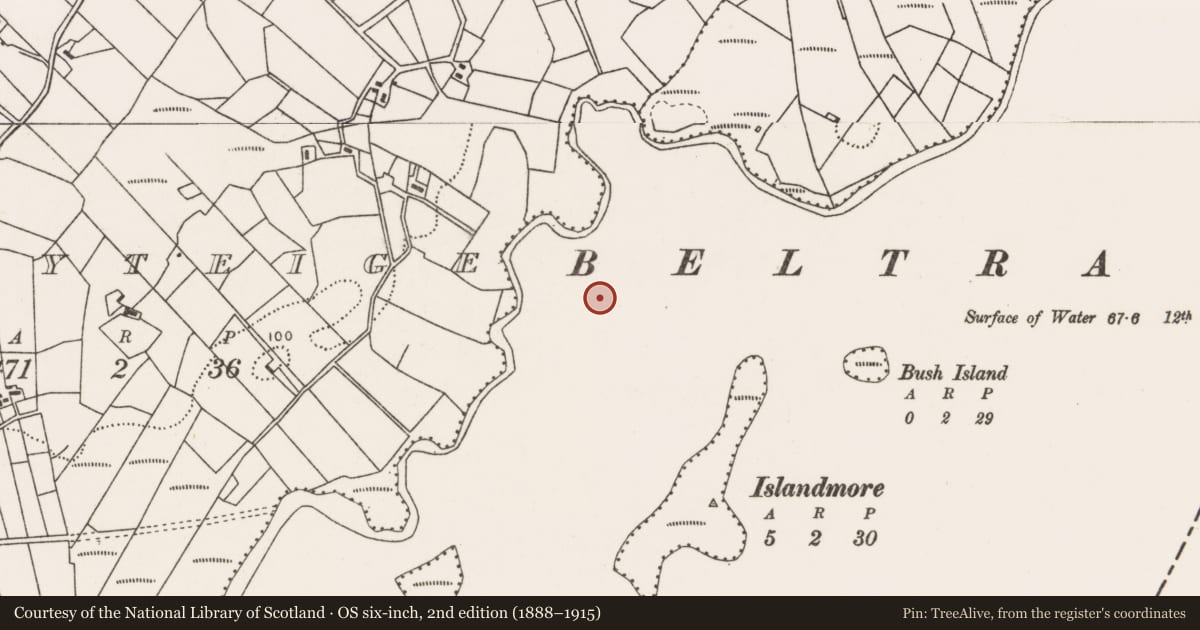 Ordnance Survey six-inch map, 2nd edition (1888–1915) covering the location of Crannog, Beltra Lough, County Mayo, with a pin at the register's coordinates