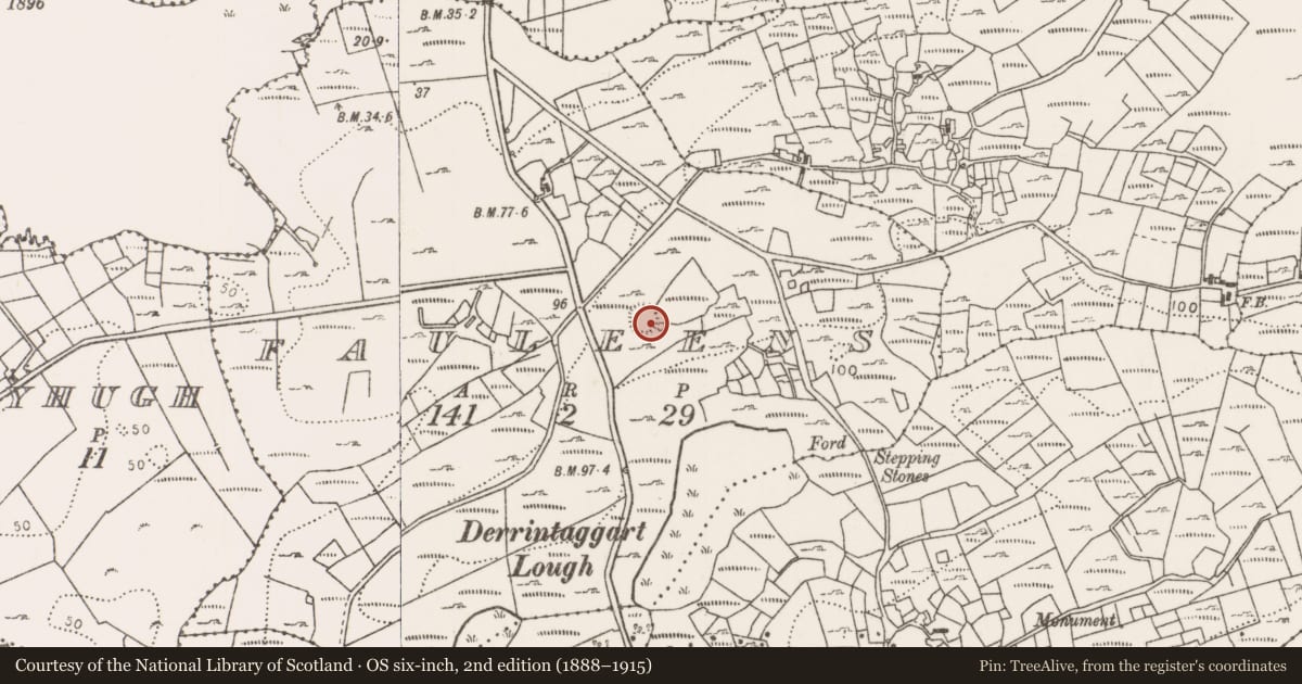 Ordnance Survey six-inch map, 2nd edition (1888–1915) covering the location of Ringfort - cashel, Fauleens, County Mayo, with a pin at the register's coordinates