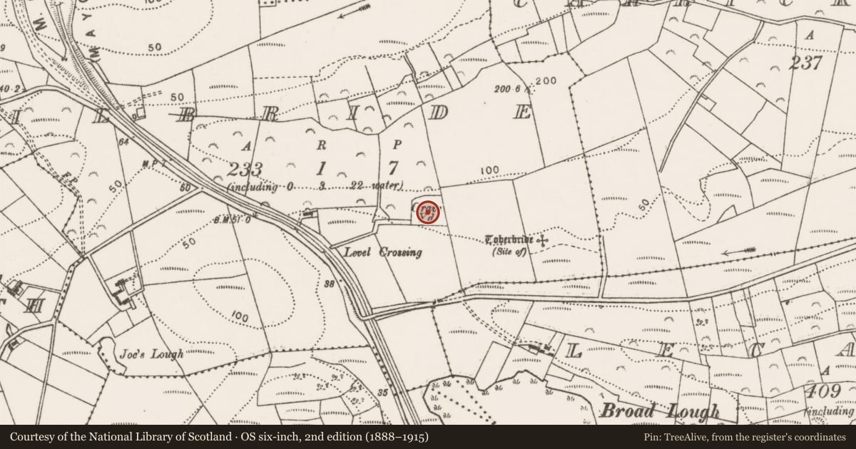 Ordnance Survey six-inch map, 2nd edition (1888–1915) covering the location of Church, Kilbride, County Mayo, with a pin at the register's coordinates