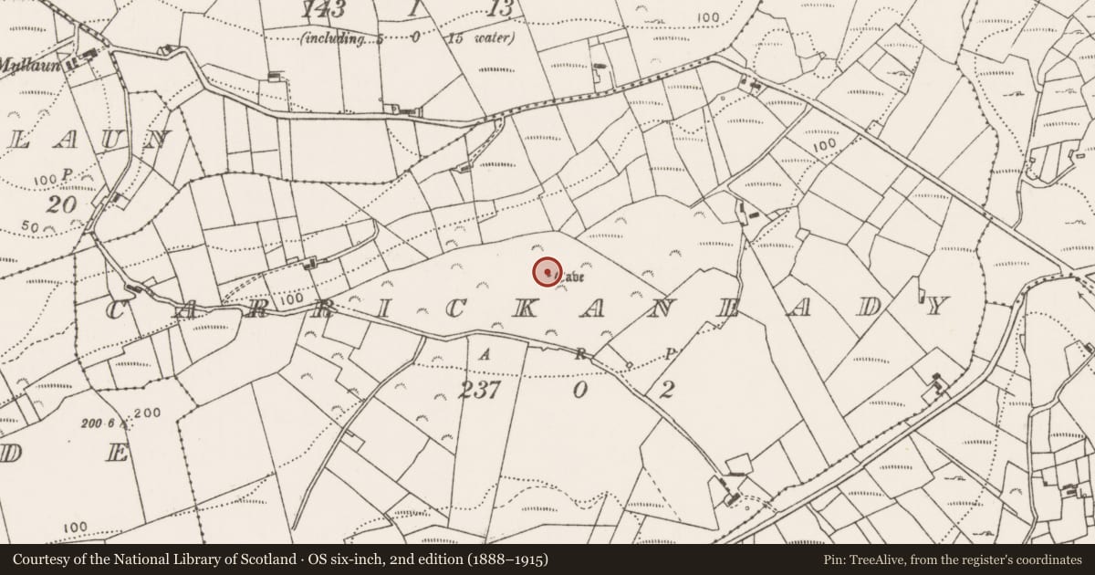 Ordnance Survey six-inch map, 2nd edition (1888–1915) covering the location of Souterrain, Carrickaneady, County Mayo, with a pin at the register's coordinates