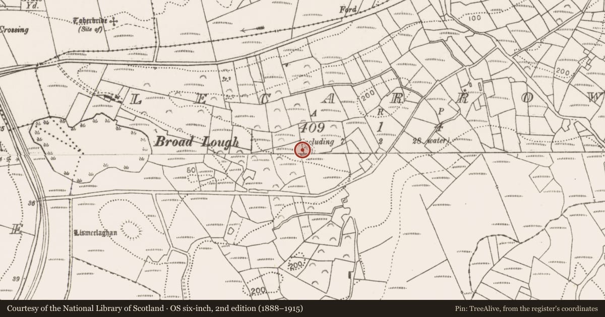 Ordnance Survey six-inch map, 2nd edition (1888–1915) covering the location of Ringfort - rath, Lecarrow, County Mayo, with a pin at the register's coordinates