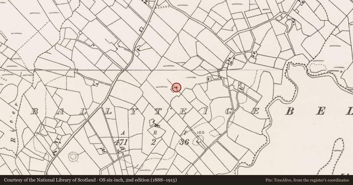 Ordnance Survey six-inch map, 2nd edition (1888–1915) covering the location of Ringfort - rath, Ballyteige, County Mayo, with a pin at the register's coordinates