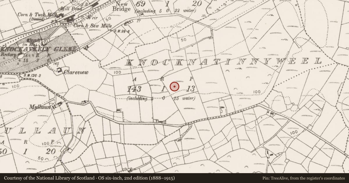 Ordnance Survey six-inch map, 2nd edition (1888–1915) covering the location of Enclosure, Knocknatinnyweel, County Mayo, with a pin at the register's coordinates
