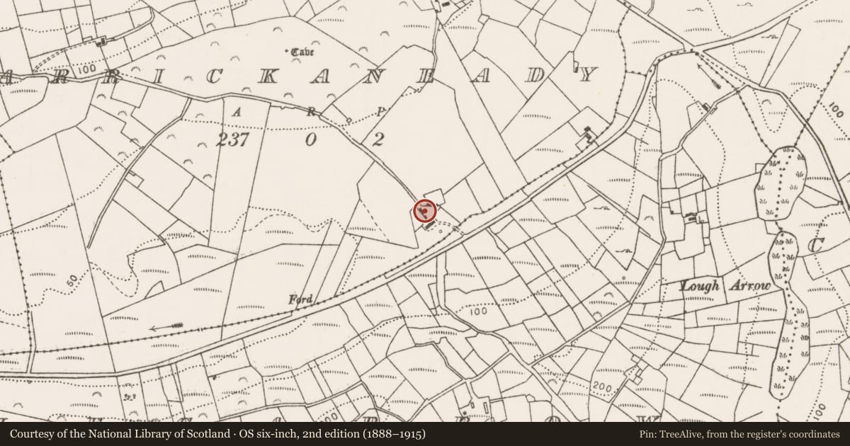 Ordnance Survey six-inch map, 2nd edition (1888–1915) covering the location of Castle - unclassified, Carrickaneady, County Mayo, with a pin at the register's coordinates