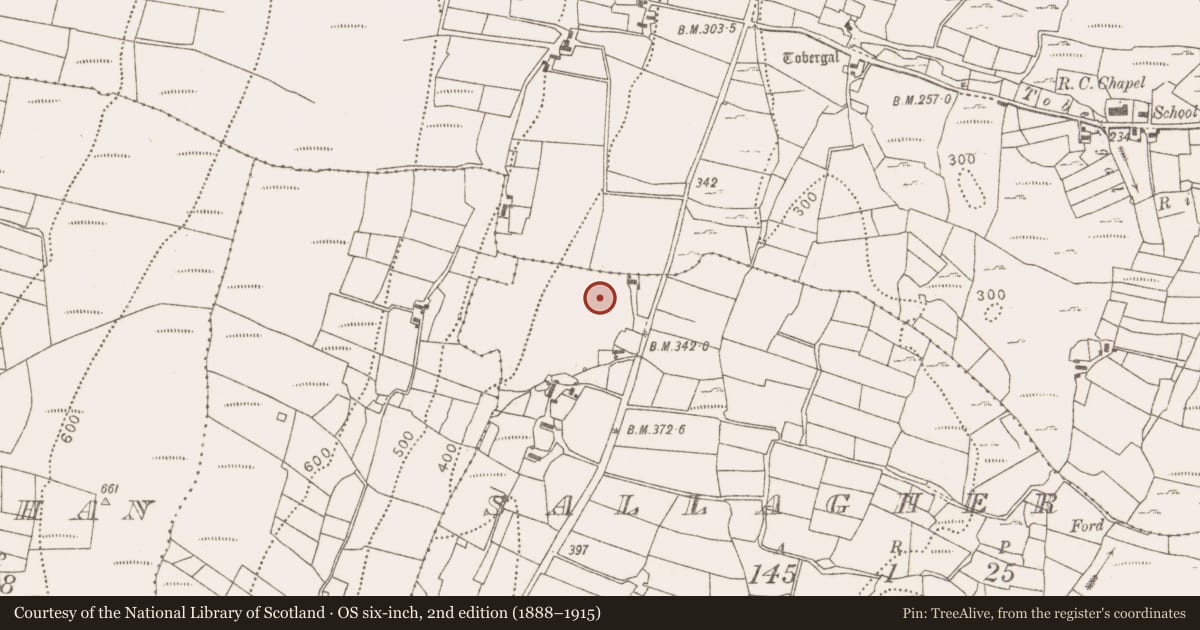 Ordnance Survey six-inch map, 2nd edition (1888–1915) covering the location of Ogham stone, Sallagher, County Mayo, with a pin at the register's coordinates