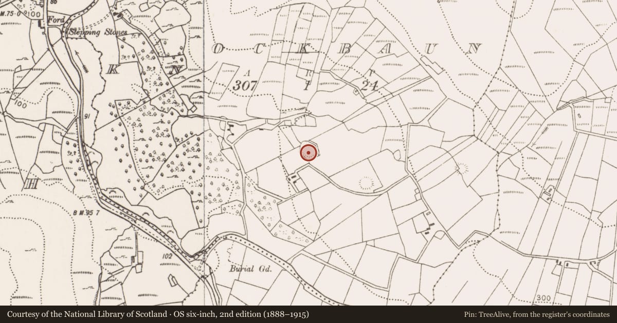 Ordnance Survey six-inch map, 2nd edition (1888–1915) covering the location of Ringfort - rath, Knockbaun (Carra By. Islandeady Par.), County Mayo, with a pin at the register's coordinates