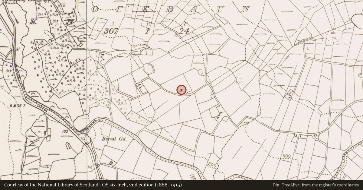 Ordnance Survey six-inch map, 2nd edition (1888–1915) covering the location of Ringfort - rath, Knockbaun (Carra By. Islandeady Par.), County Mayo, with a pin at the register's coordinates