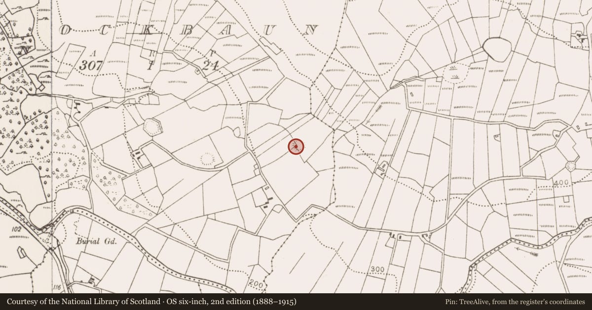 Ordnance Survey six-inch map, 2nd edition (1888–1915) covering the location of Enclosure, Knockbaun (Carra By. Islandeady Par.), County Mayo, with a pin at the register's coordinates