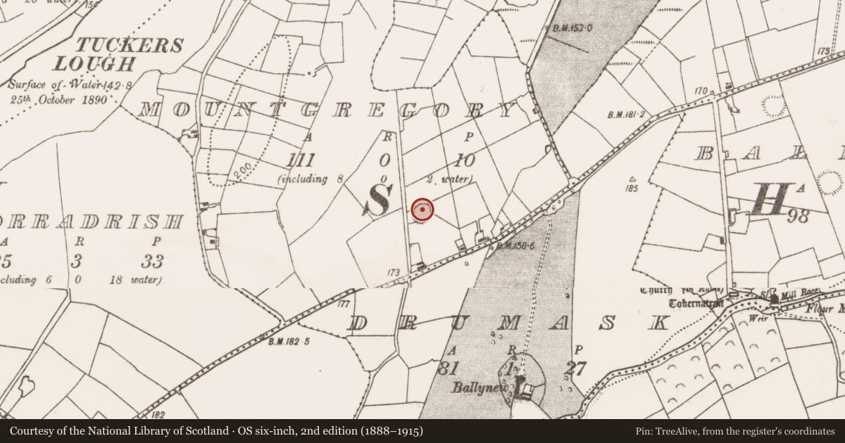 Ordnance Survey six-inch map, 2nd edition (1888–1915) covering the location of Ringfort - rath, Mountgregory, County Mayo, with a pin at the register's coordinates