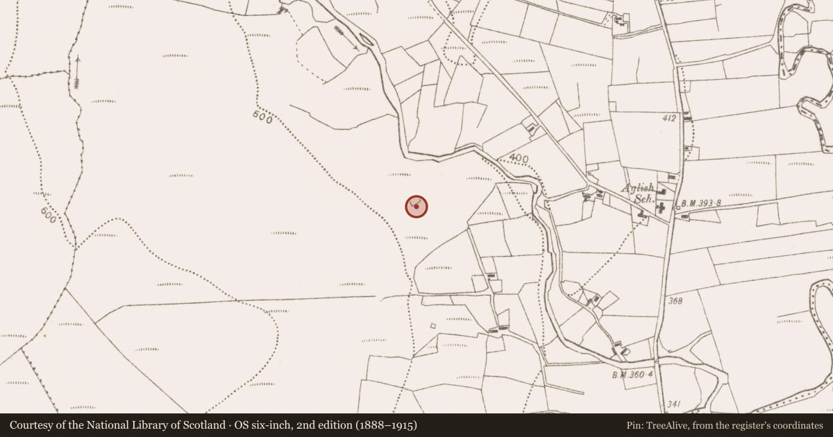 Ordnance Survey six-inch map, 2nd edition (1888–1915) covering the location of Enclosure, Burren (Carra By., Aghlish Par.), County Mayo, with a pin at the register's coordinates