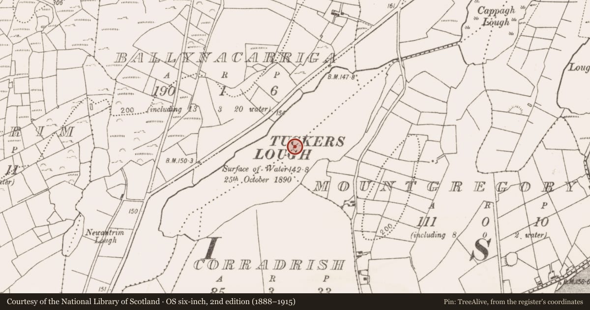 Ordnance Survey six-inch map, 2nd edition (1888–1915) covering the location of Crannog, Mountgregory, County Mayo, with a pin at the register's coordinates