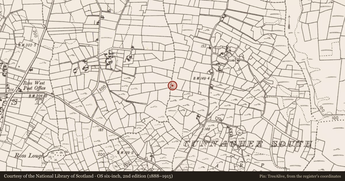 Ordnance Survey six-inch map, 2nd edition (1888–1915) covering the location of Fulacht fia, Cunnagher South, County Mayo, with a pin at the register's coordinates