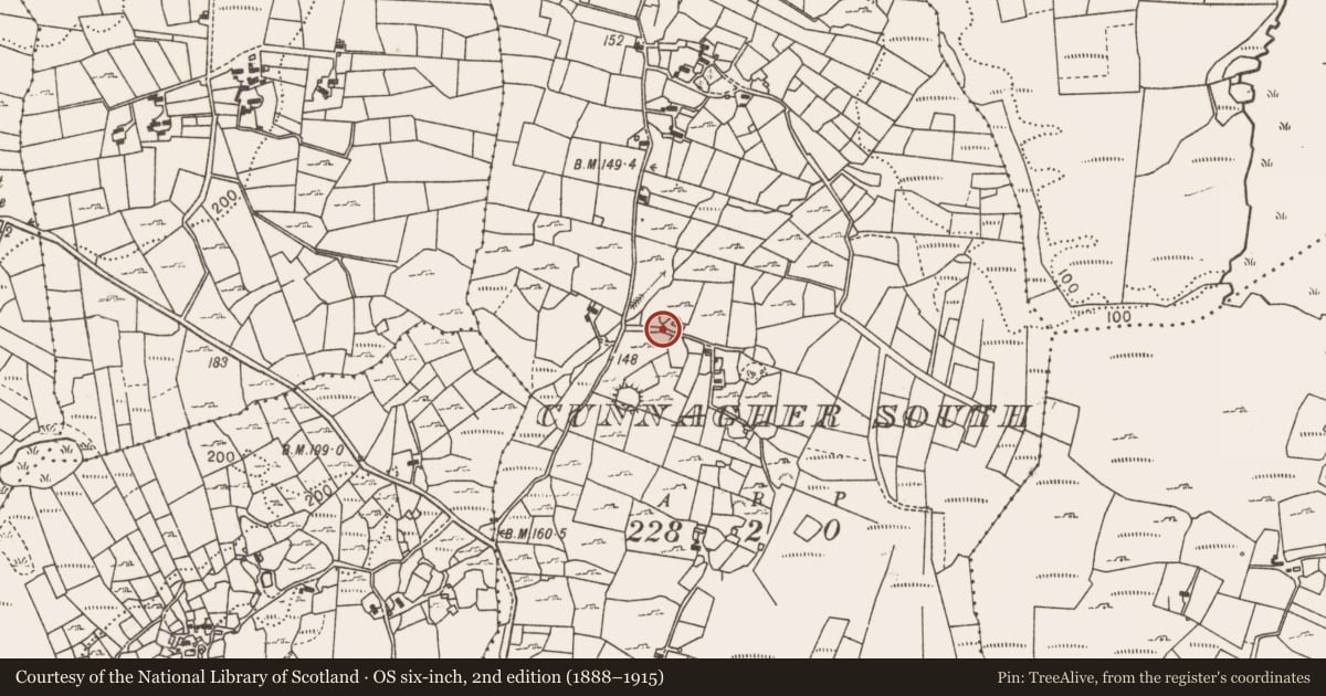 Ordnance Survey six-inch map, 2nd edition (1888–1915) covering the location of Bullaun stone, Cunnagher South, County Mayo, with a pin at the register's coordinates