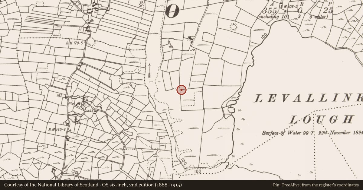 Ordnance Survey six-inch map, 2nd edition (1888–1915) covering the location of Fulacht fia, Levallinree, County Mayo, with a pin at the register's coordinates