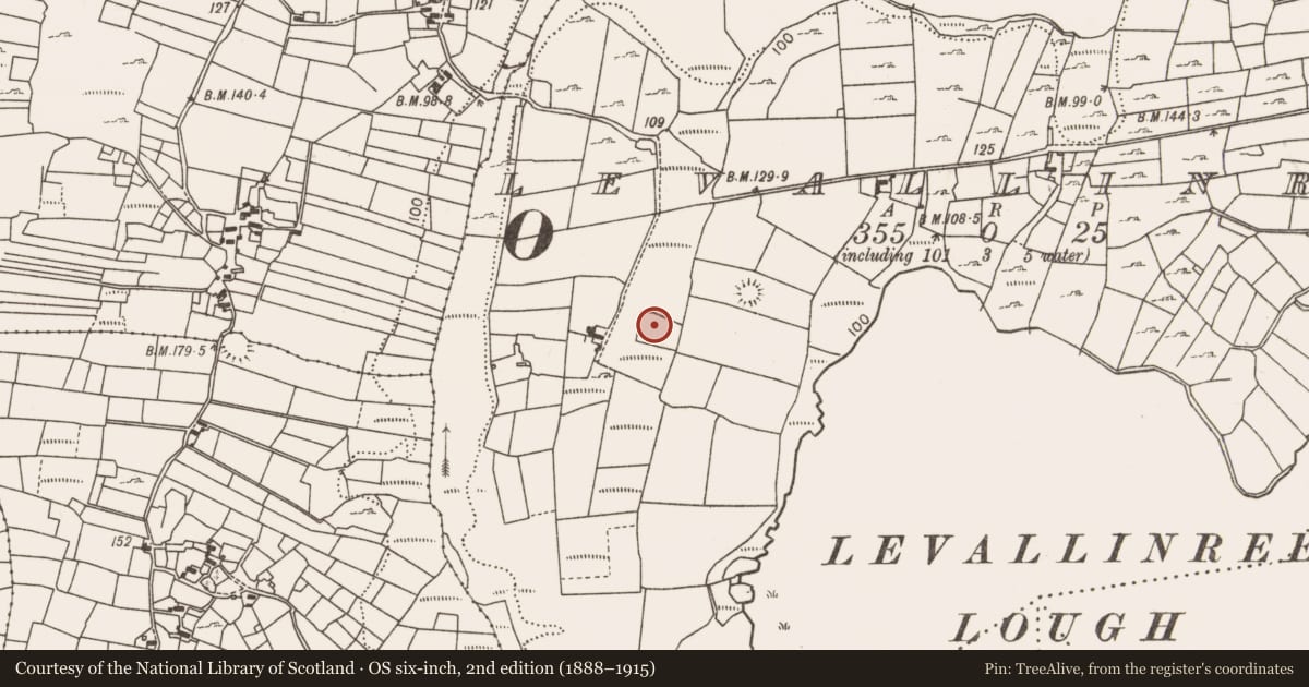 Ordnance Survey six-inch map, 2nd edition (1888–1915) covering the location of Fulacht fia, Levallinree, County Mayo, with a pin at the register's coordinates