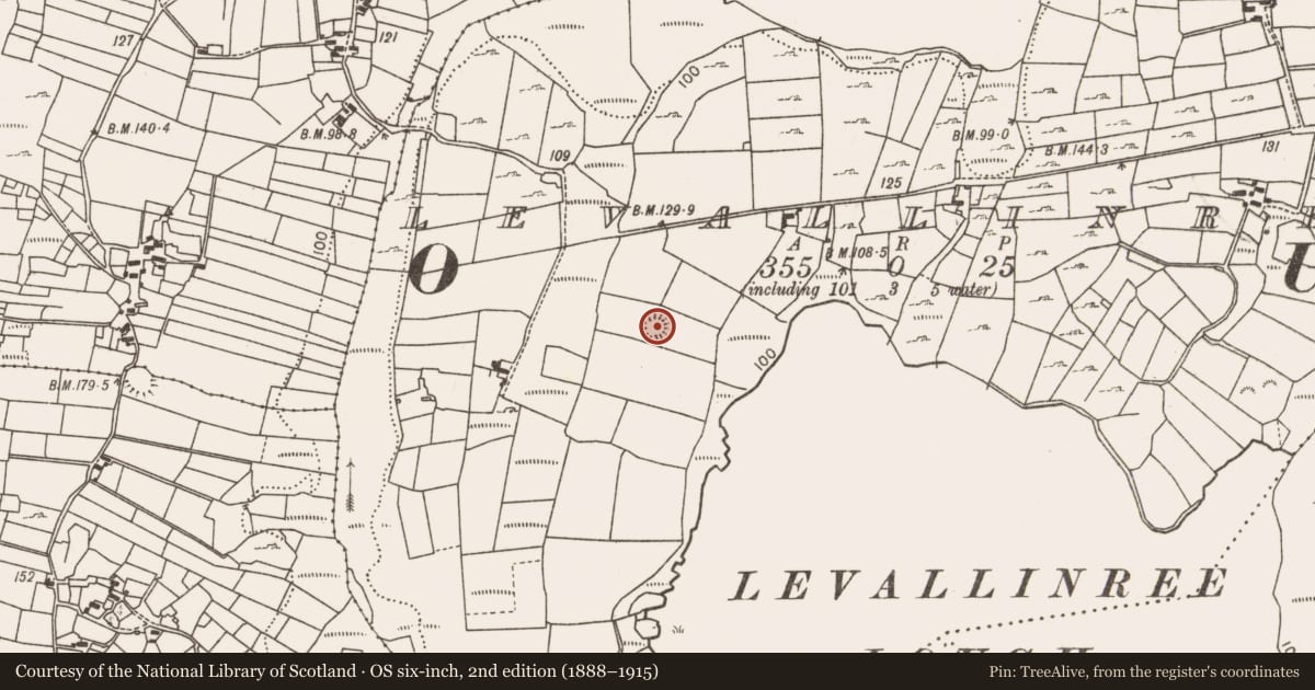 Ordnance Survey six-inch map, 2nd edition (1888–1915) covering the location of Ringfort - rath, Levallinree, County Mayo, with a pin at the register's coordinates
